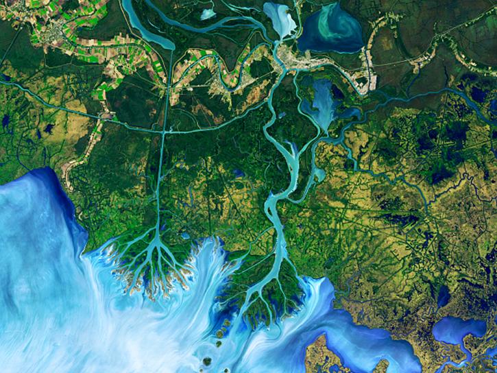 Mississippi Delta and ponds