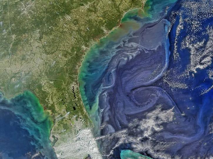 ocean color over the Florida coast