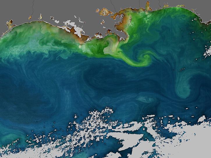 ocean color and coast