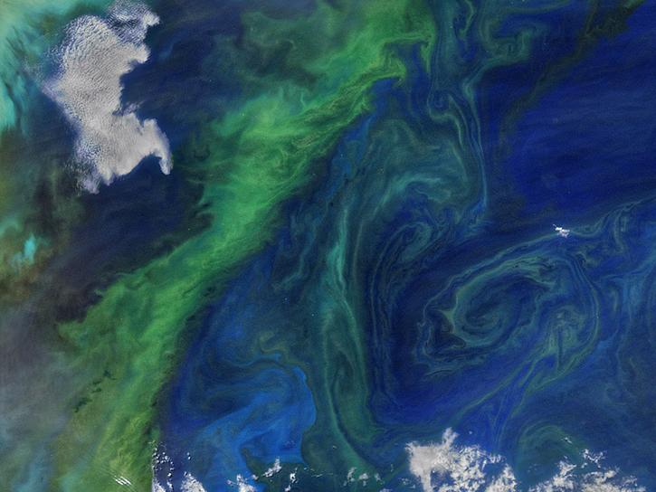ocean color and clouds