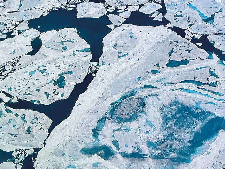 sea ice