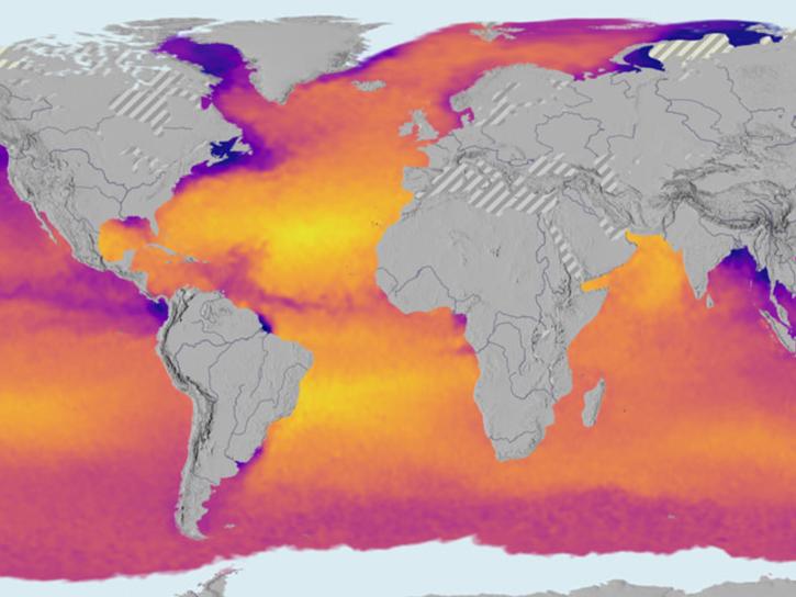sea surface salinity visualization map