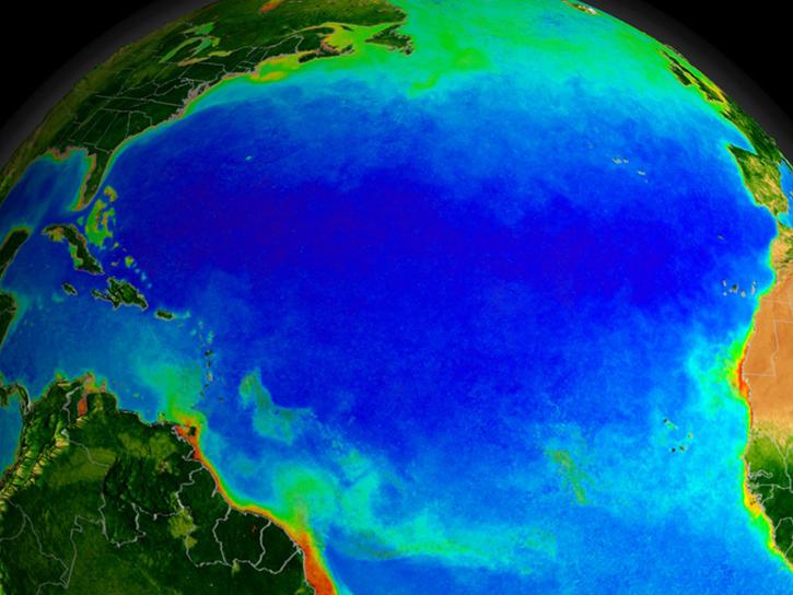 SeaWIFS data over the North Atlantic