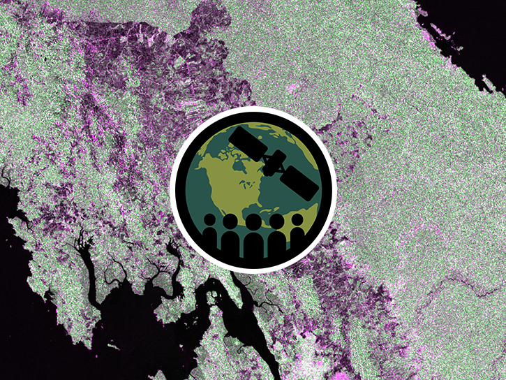 Satellite image identifying forest cover, with deforested land highlighted purple and forested land highlighted green