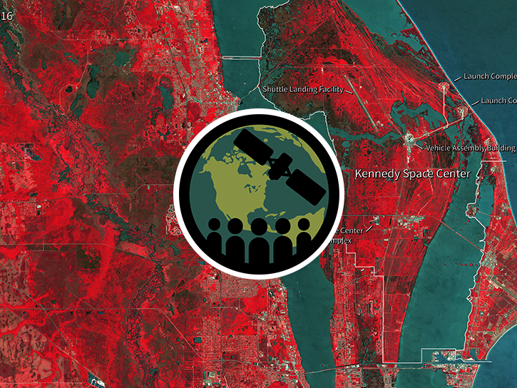 The image is a satellite view of deforestation in the state of Rondônia, Brazil. The distinctive "fishbone" or "feather" pattern shows how land clearing systematically fans out from main roads. 