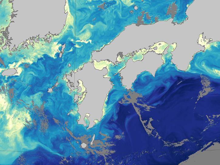 ocean color data from the PACE instrument