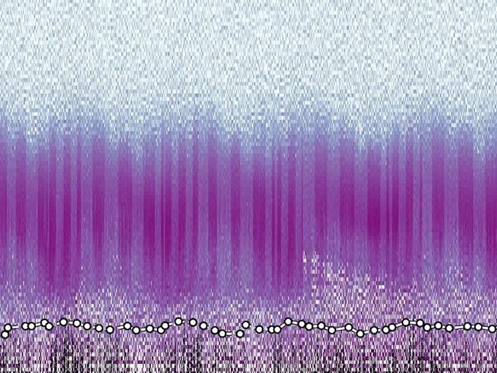 SAGE III ISS nitrogen dioxide data