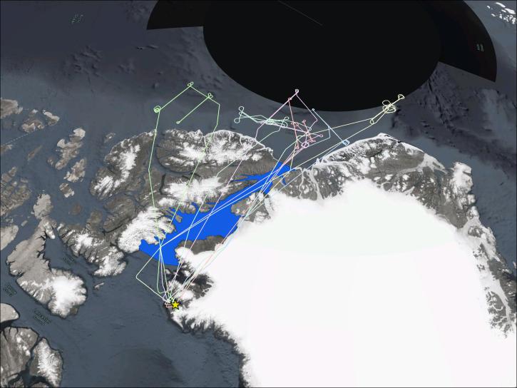 Image of six flight paths flying over the study region of ARCSIX which is highlighted in blue with the launch site labeled as a gold star.