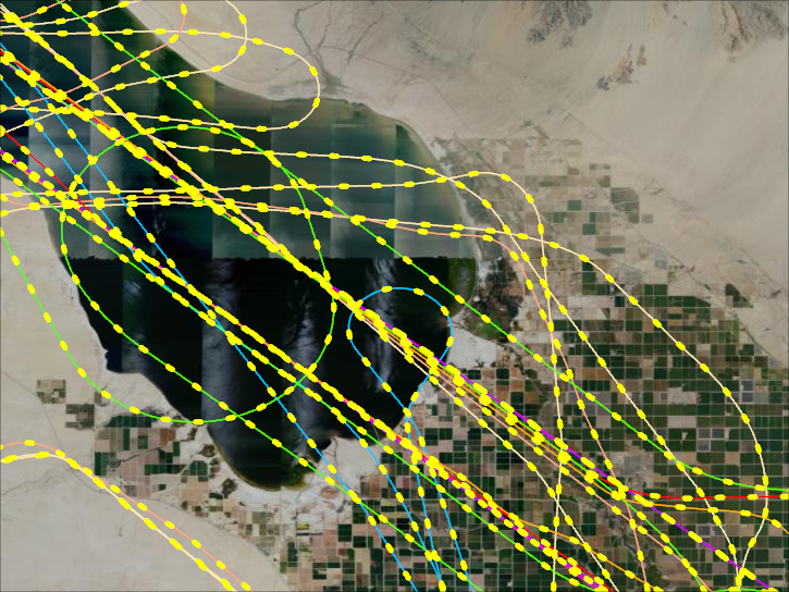 SARP Flightpaths above the Salton Sea