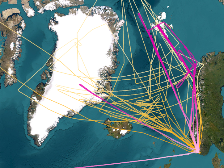 AASE Flightpaths with ER-2 paths in Pink and DC-8 paths in Orange 