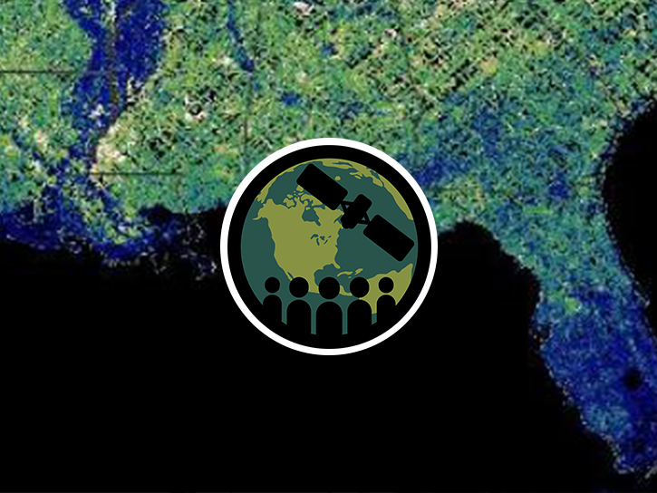 GEDI visualization over Southern US