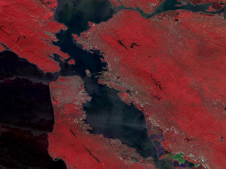 This HLS color-infrared composite image —generated via the TiTiler-CMR API in the Worldview application — shows the area around Cambridge, Maryland.