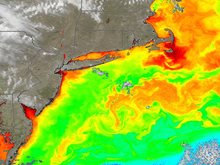 Data from the PACE satellite shows chlorophyll in the northwest Atlantic on March 29, 2026.