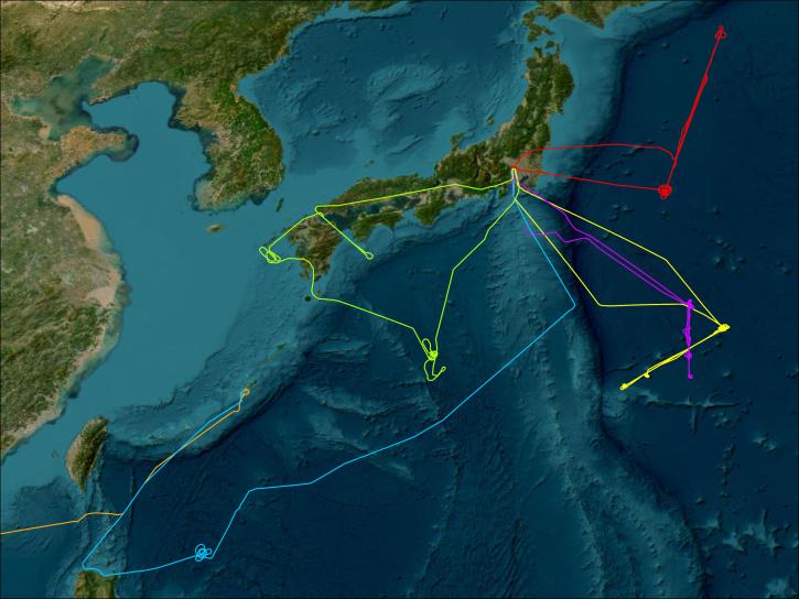 GIS Imagery of flight tracks from the PEM West A campaign. There are six tracks over Japan - red, yellow, purple, blue, orange, and green.
