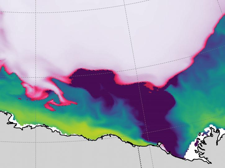 sea surface salinity compared to sea ice concentration in Alaska 