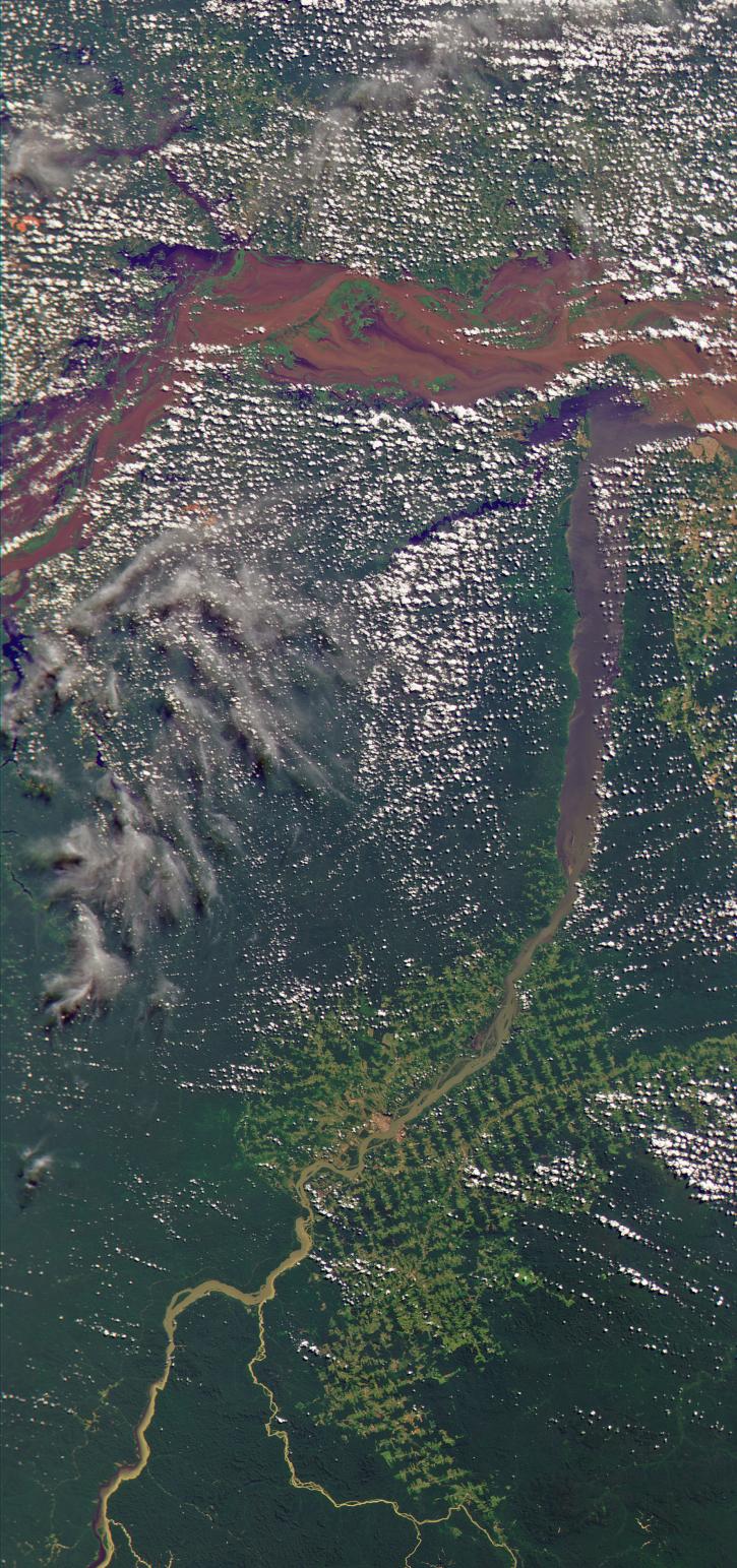 Amazon River, Brazil