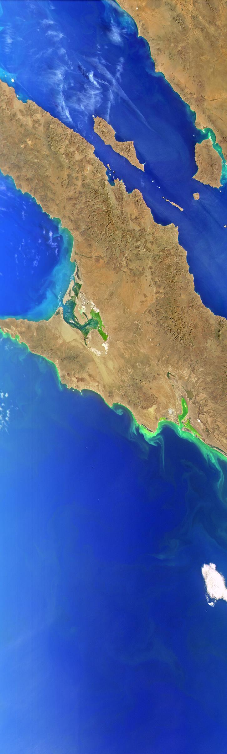 Central Baja