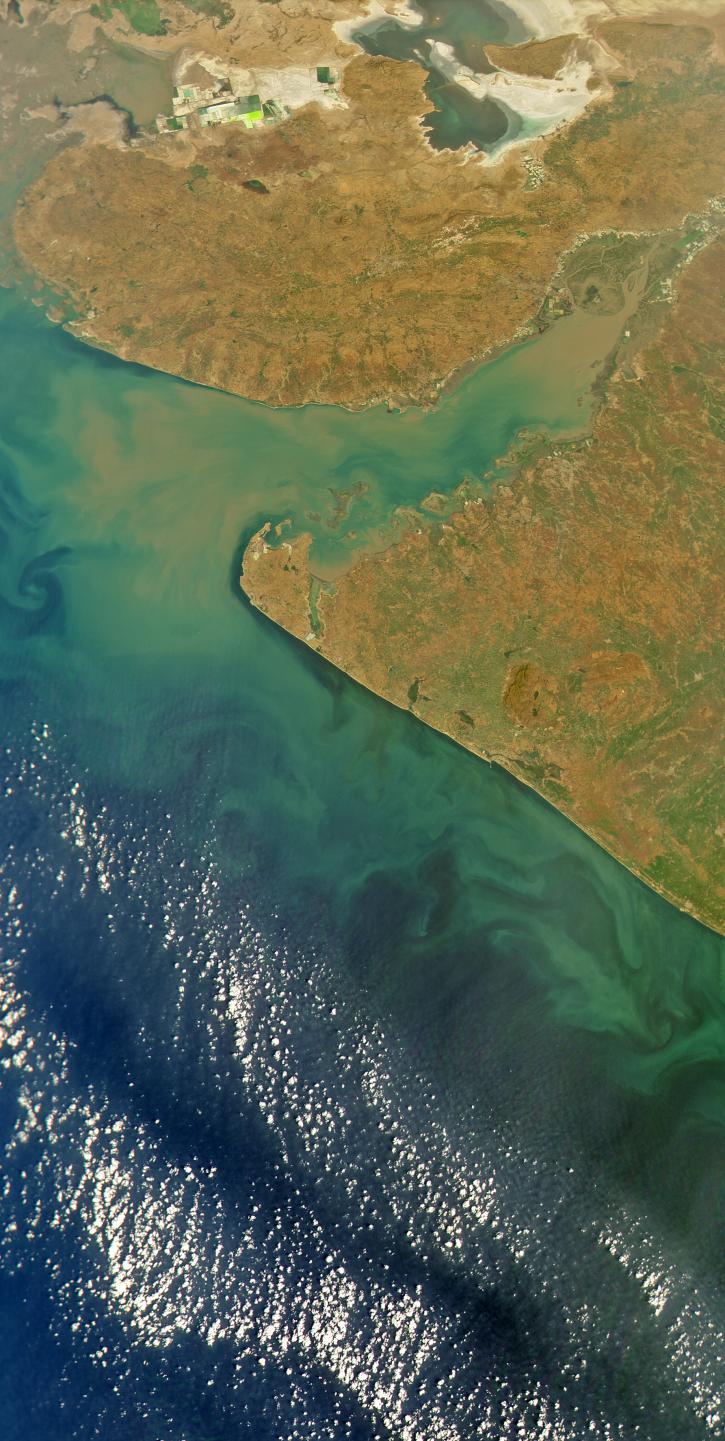 Gulf of Kutch, India