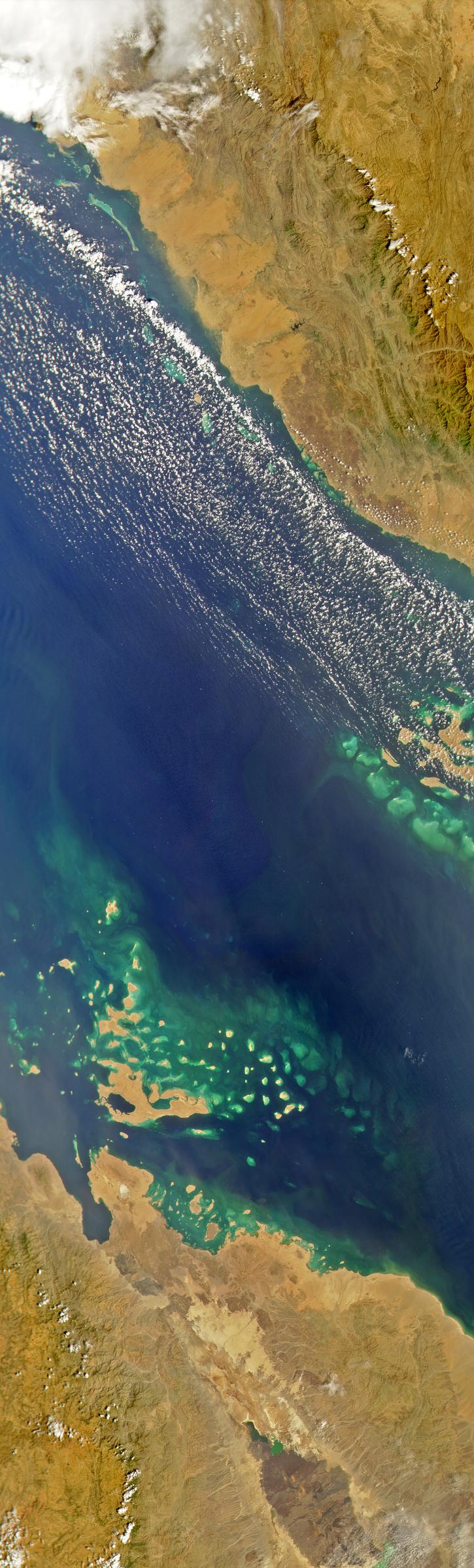 Red Sea
