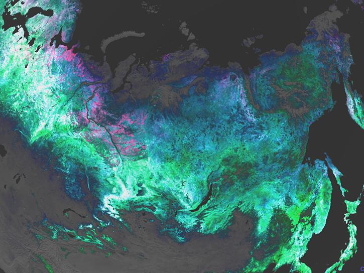 A regional view over Siberia of three major classes of plant pigments observed by the PACE satellite: chlorophylls (shown in green), carotenoids (shown in blue), and anthocyanins (shown in red). White represents regions where all three indices have similar values. 