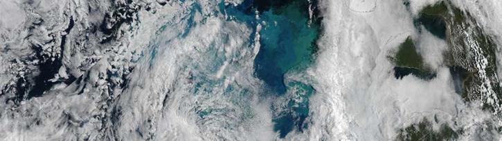Phytoplankton Bloom in the Barents Sea - feature page