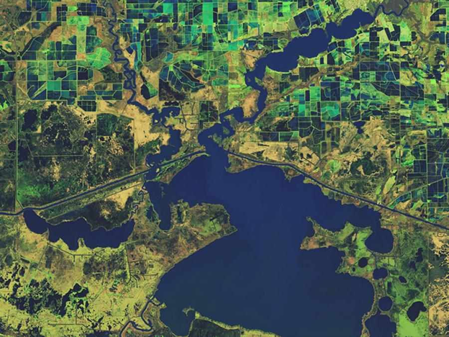 image of agricultural field in Louisiana