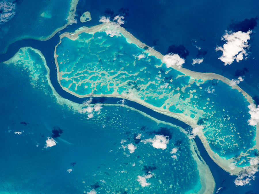 satellite image of ocean