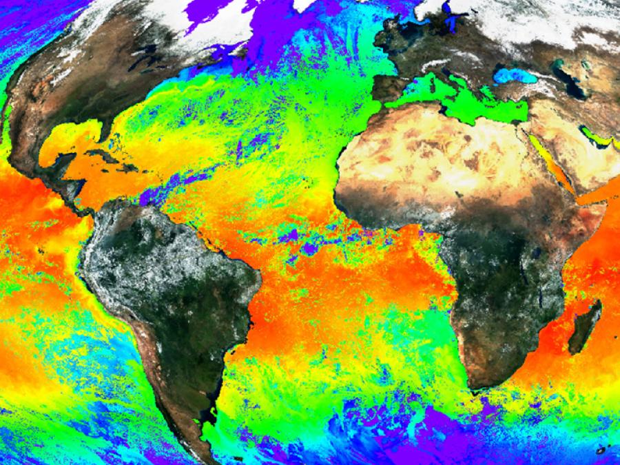 image of MODIS ocean color data