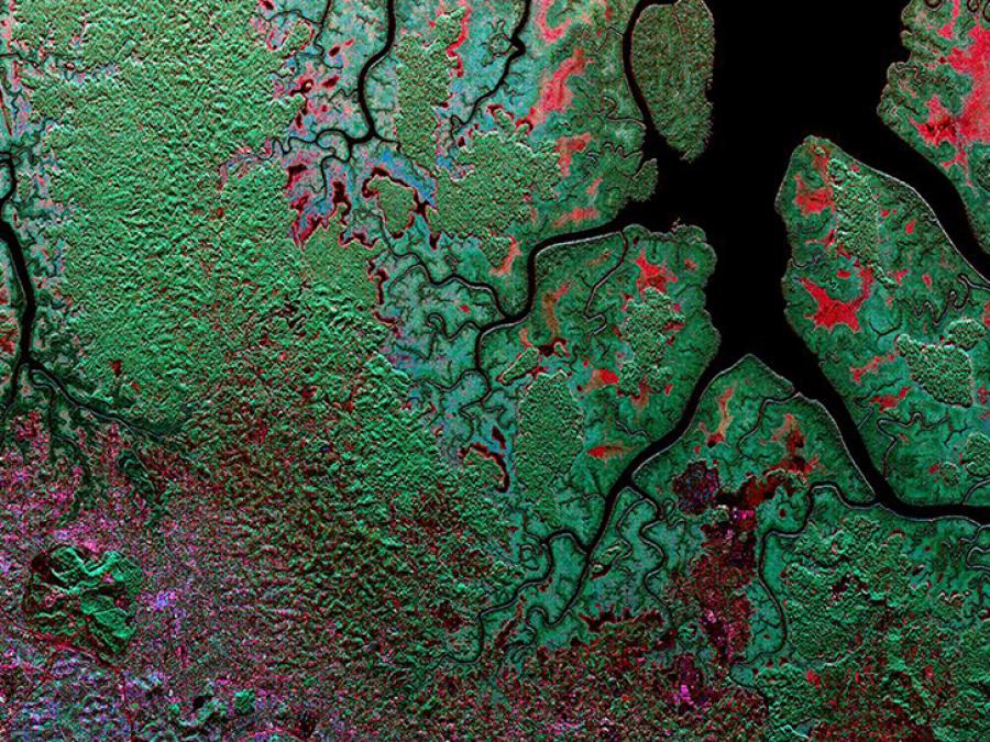 UAVSAR image of Gabon Forest in Africa
