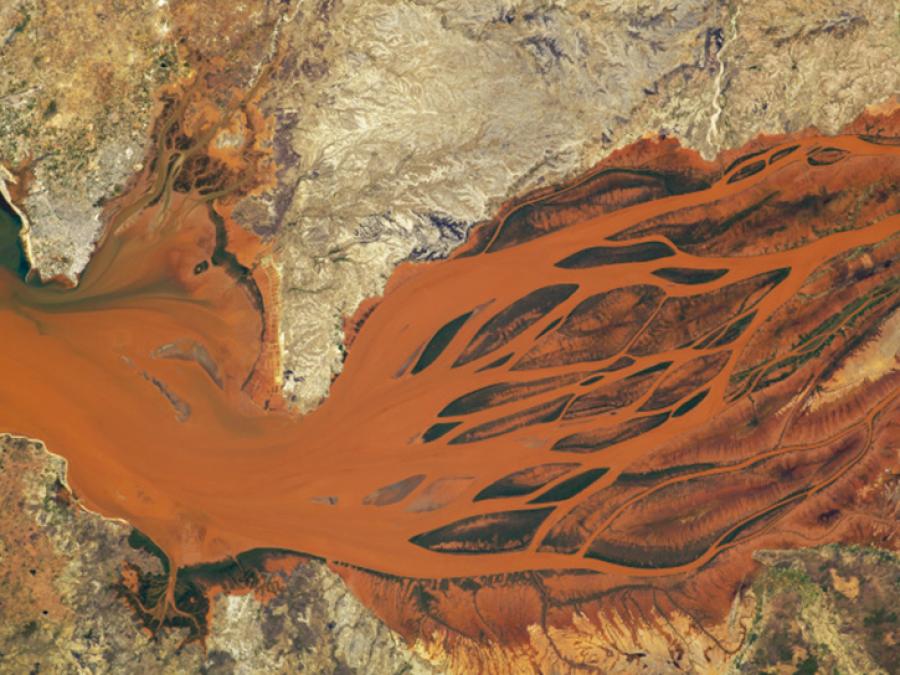 a river delta in South Africa's Capr Floristic region