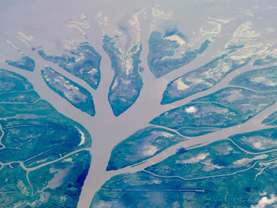 Mississippi Delta