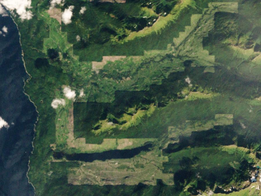 satellite image of forest in Oregon