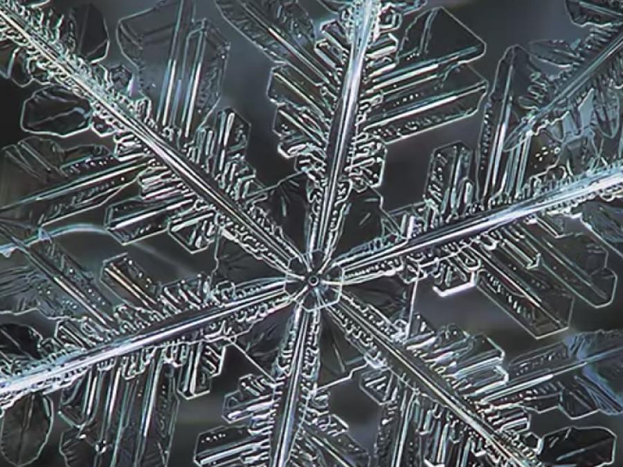 close up of a snowflake