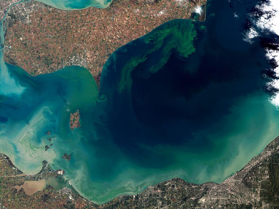 algae bloom in Lake Erie