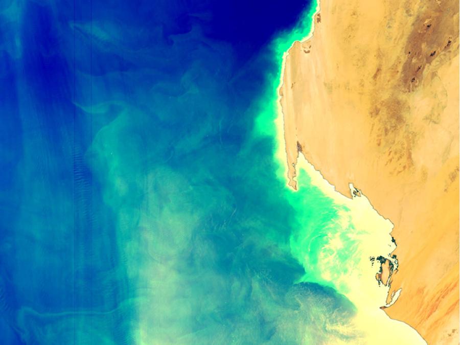 phytoplankton bloom off West Africa