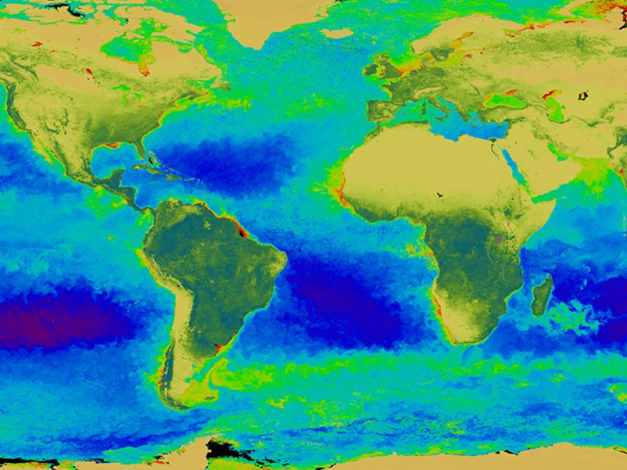 SeaWIFS global carbon data