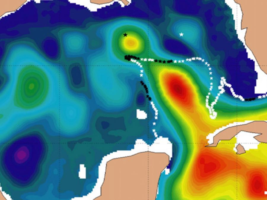 The sea surface height from the 1/12° Atlantic HYCOM in the Gulf of Mexico region on April 13, 2005