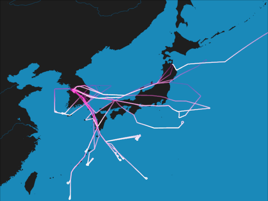 ACCLIP Flightpaths