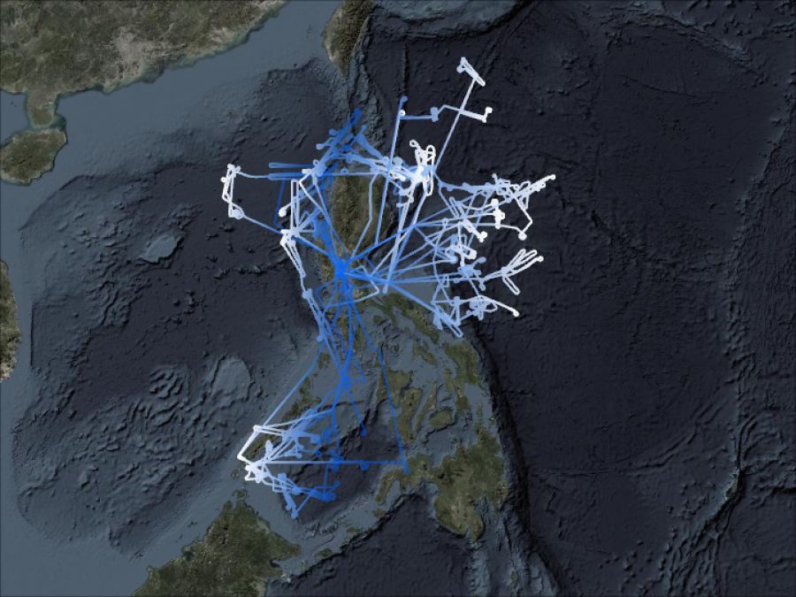 CAMP2Ex Flightpaths