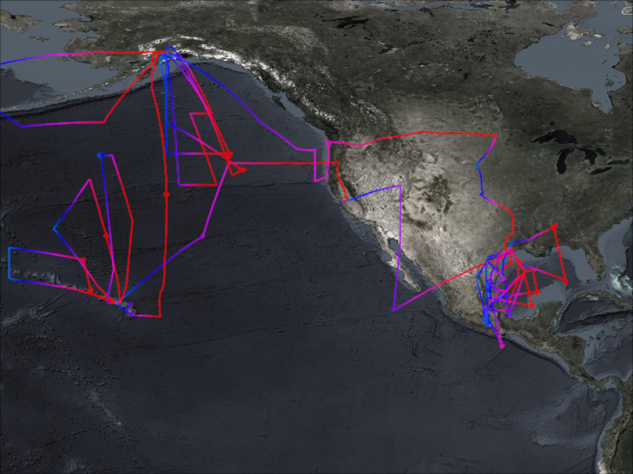 INTEX-B Flightpaths