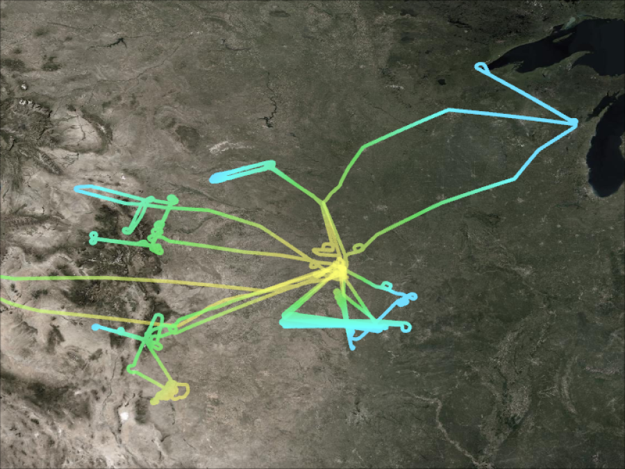 SUCCESS Flightpaths