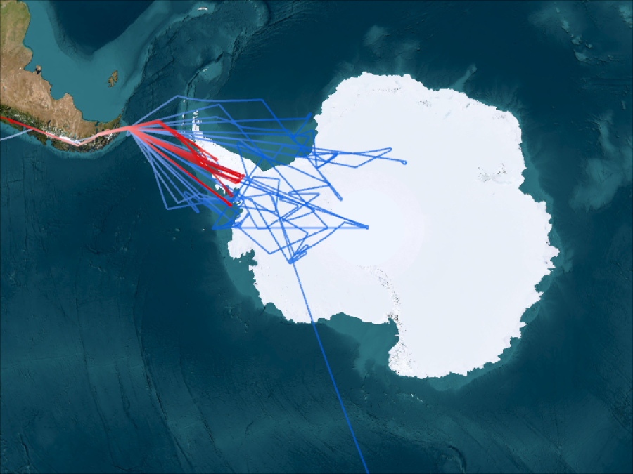 AAOE Flightpaths where ER-2 Paths are in Red and DC-8 Paths are in Blue