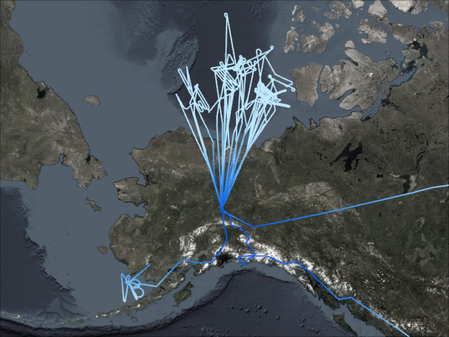 ARISE Flightpaths