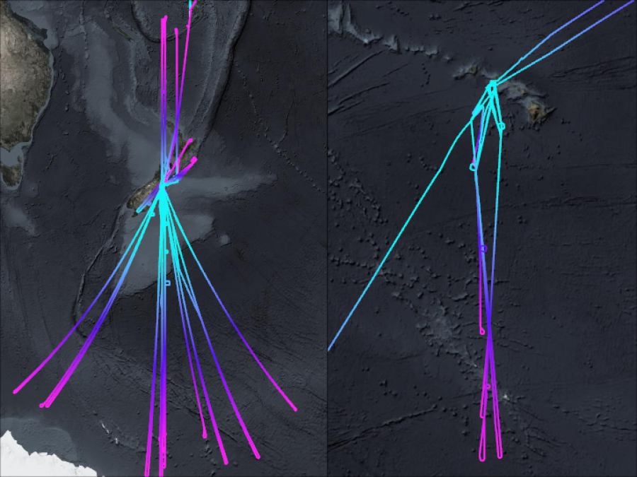 ASHOE Flightpaths originating from New Zealand and Hawai'i