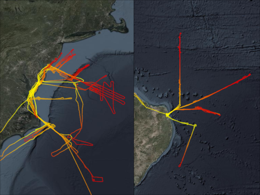 CITE-3 Flightpaths above the East Coast and Natal, Brazil
