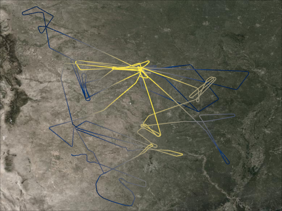 DC3 Flightpaths
