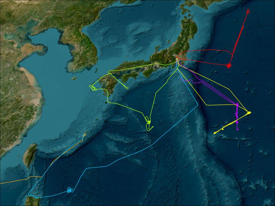 GIS Imagery of flight tracks from the PEM West A campaign. There are six tracks over Japan - red, yellow, purple, blue, orange, and green.
