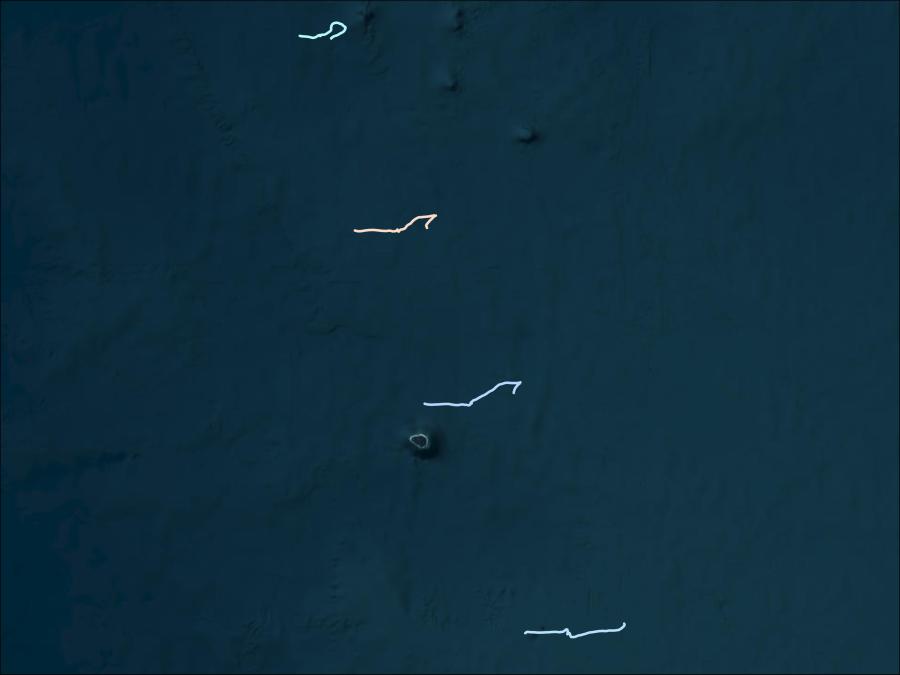 Ship tracks from the PISTON campaign. There are four tracks on the image with varying pastel colors.