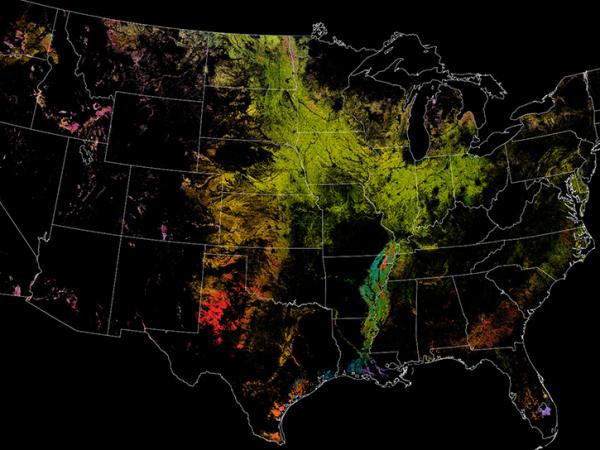 HLS data showing croplands in the US