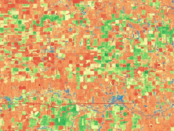 image of HLS Sentinel-2 data over Kansas